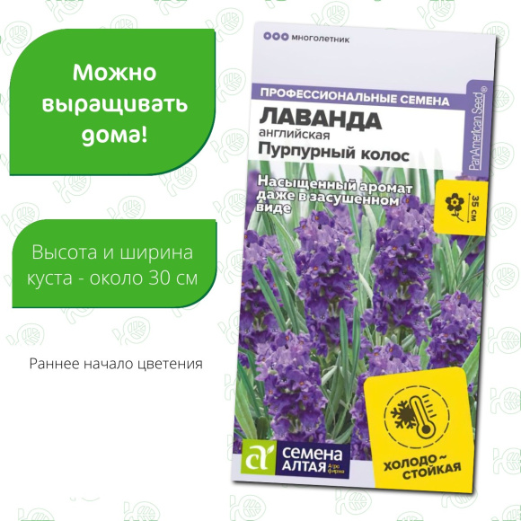 Лаванда Пурпурный колос английская [Семена алтая] купить с доставкой