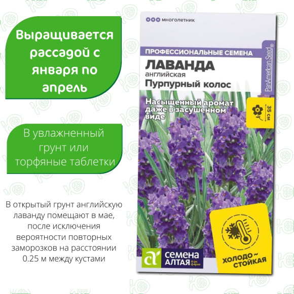 Лаванда Пурпурный колос английская [Семена алтая] купить с доставкой