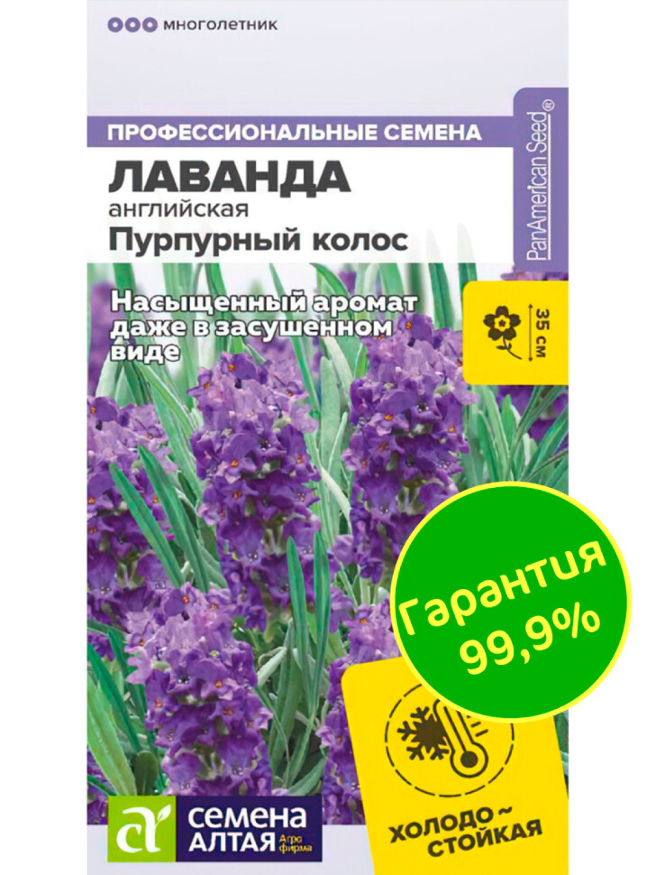 Лаванда Пурпурный колос английская [Семена алтая] купить с доставкой