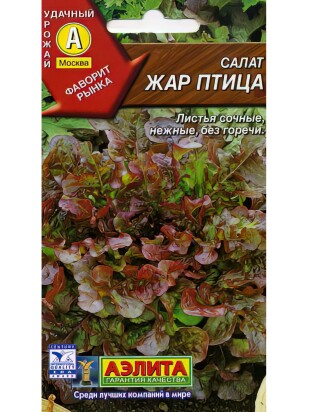Салат Жар птица листовой [Аэлита]