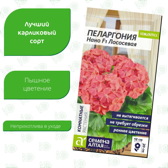 Пеларгония Нано Лососевая [Семена алтая] купить с доставкой
