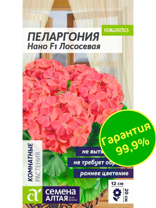 Пеларгония Нано Лососевая [Семена алтая]