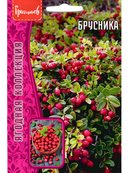 Брусника [Семена редких растений] купить с доставкой