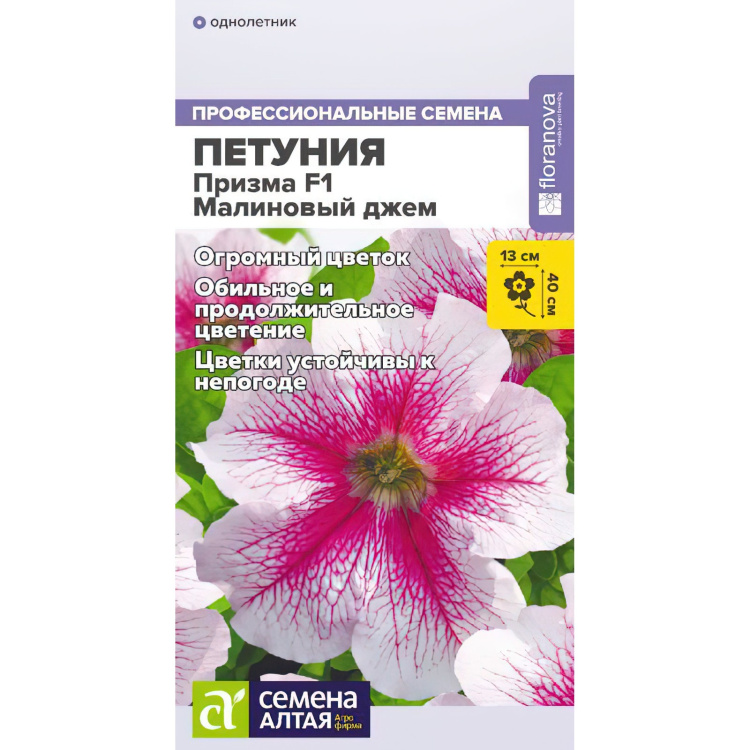 Описание сорта Петуния Снежная королева