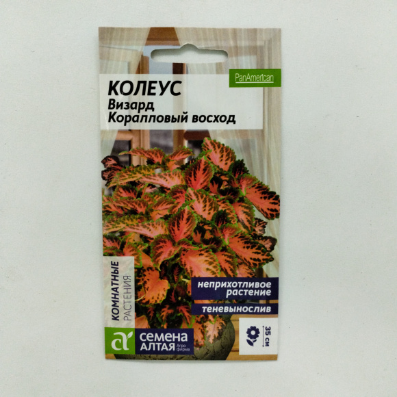 Колеус Визард Коралловый Восход [Семена алтая] купить с доставкой