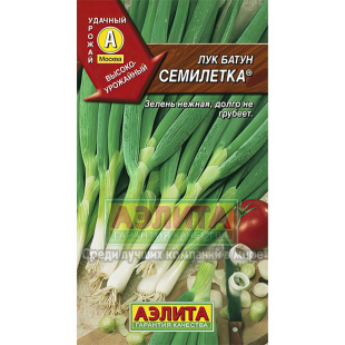 Лук Батун Семилетка [Аэлита]