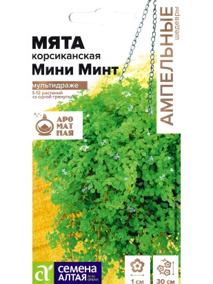 Мята Мини минт декоративная корсиканская [Семена алтая]