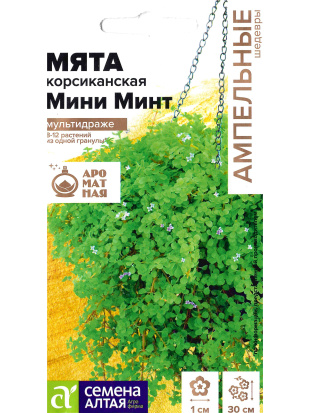 Мята Мини минт декоративная корсиканская [Семена алтая]