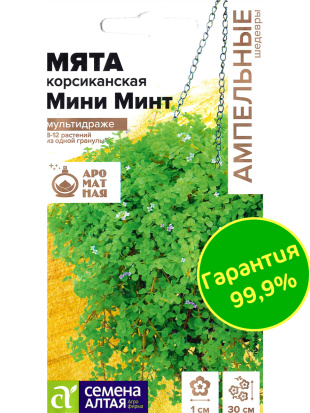 Мята Мини минт декоративная корсиканская [Семена алтая]