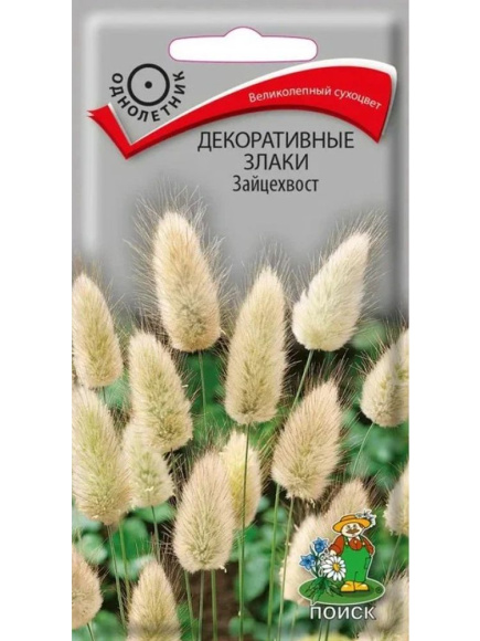 Декоративные злаки Зайцехвост [Поиск] купить с доставкой