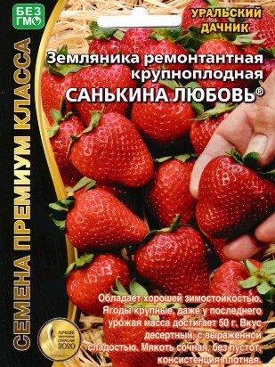 Земляника Санькина Любовь ремонтантная [Уральский дачник]