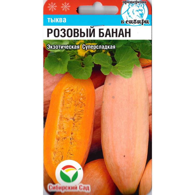 Тыква Банановая Сорт Фото Отзывы