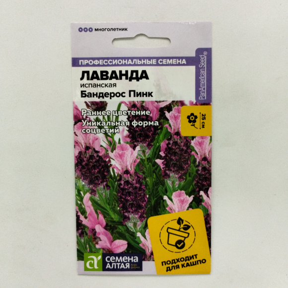 Лаванда Бандерос Пинк испанская [Семена алтая] купить с доставкой