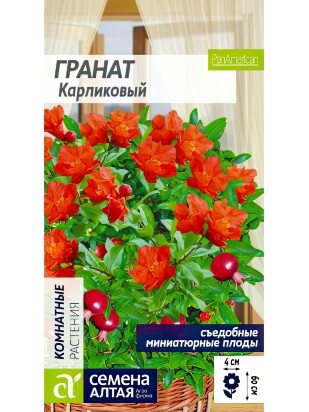 Гранат Карликовый [Семена алтая]