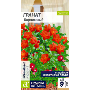 Гранат Карликовый [Семена алтая]
