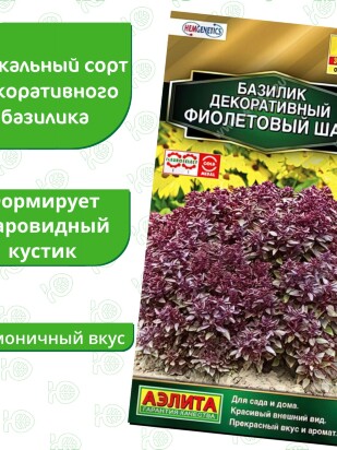 Базилик Фиолетовый шар декоративный [Аэлита]