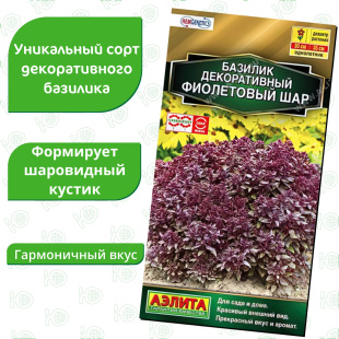 Базилик Фиолетовый шар декоративный [Аэлита]