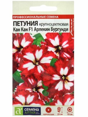 Петуния Кан Кан Арлекин Бургунди [Семена алтая]