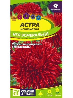 Астра Эсмеральда Игл [Семена алтая]