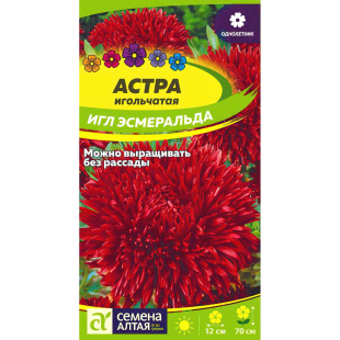 Астра Эсмеральда Игл [Семена алтая]