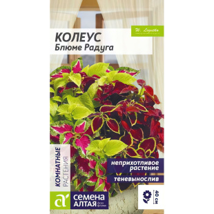 Колеус Блюме Радуга смесь [Семена алтая]