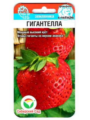 Земляника Гигантелла [Сибирский сад]