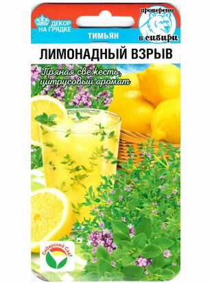 Тимьян Лимонадный взрыв [Сибирский сад]