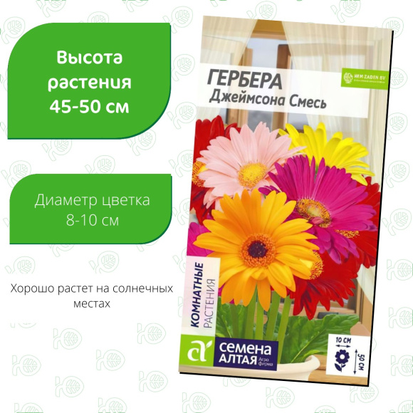 Гербера Джеймсона Смесь [Семена алтая] купить с доставкой