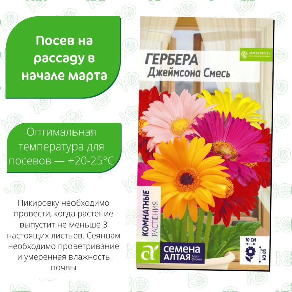 Гербера Джеймсона Смесь [Семена алтая] купить с доставкой