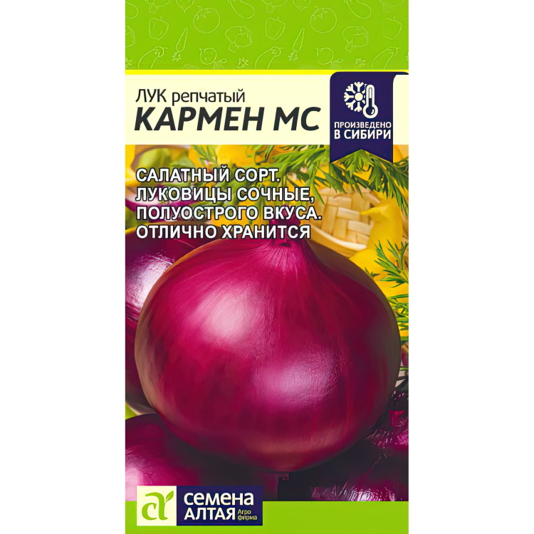 Лук кармен в зиму. Лук кармен в зиму
