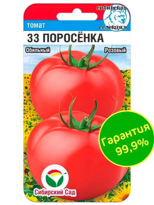 Томат 33 поросенка [Сибирский сад]