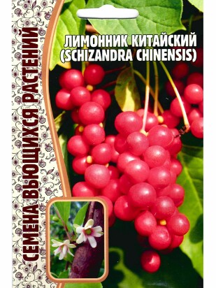 Лимонник Китайский [Семена редких растений]