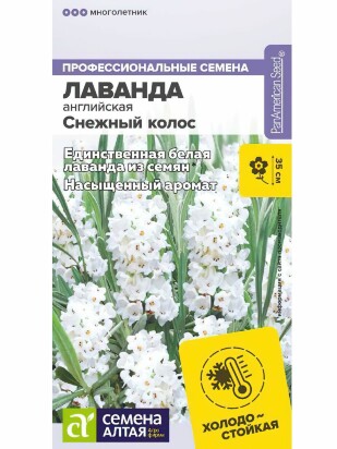 Лаванда Снежный колос английская [Семена алтая]