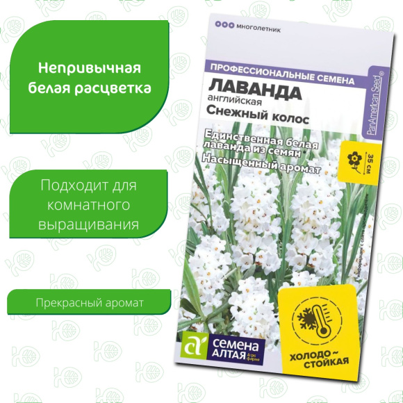 Лаванда Снежный колос английская [Семена алтая] купить с доставкой