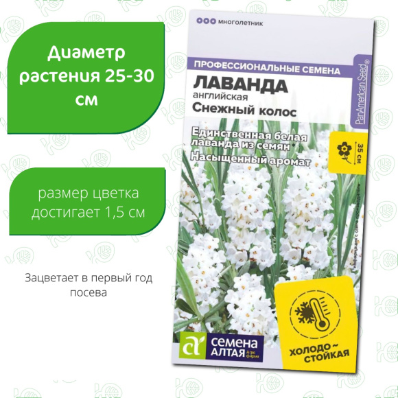 Лаванда Снежный колос английская [Семена алтая] купить с доставкой