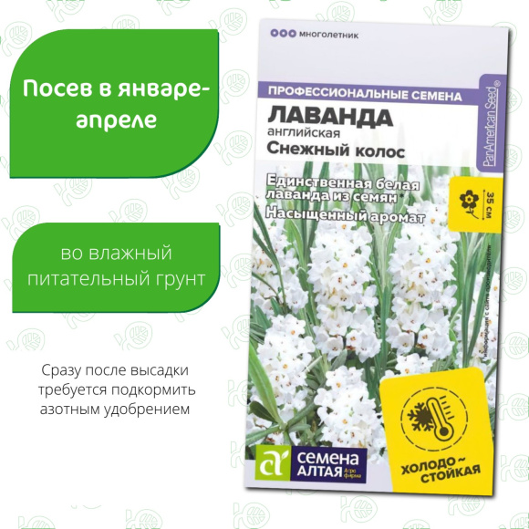 Лаванда Снежный колос английская [Семена алтая] купить с доставкой