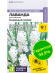 Лаванда Снежный колос английская [Семена алтая] купить с доставкой