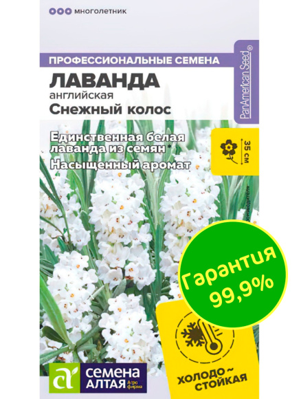 Лаванда Снежный колос английская [Семена алтая] купить с доставкой