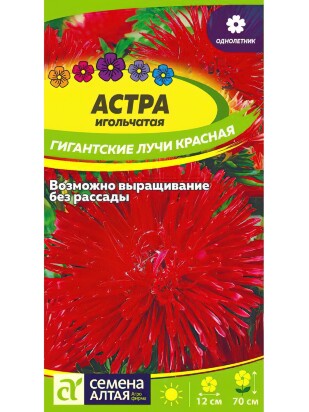 Астра Гигантские лучи Красная [Семена алтая]
