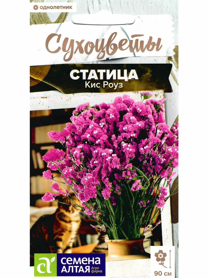 Статица Кис Роуз [Семена алтая] купить с доставкой