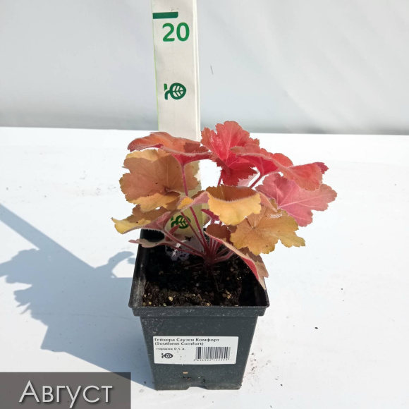 Бокс "Восхищай" купить с доставкой Бокс "Восхищай" купить с доставкой