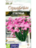 Статица Коралловые рифы [Семена алтая]