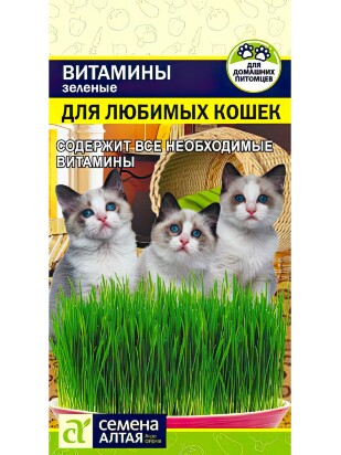 Зеленые Витамины для любимых Кошек [Семена алтая]