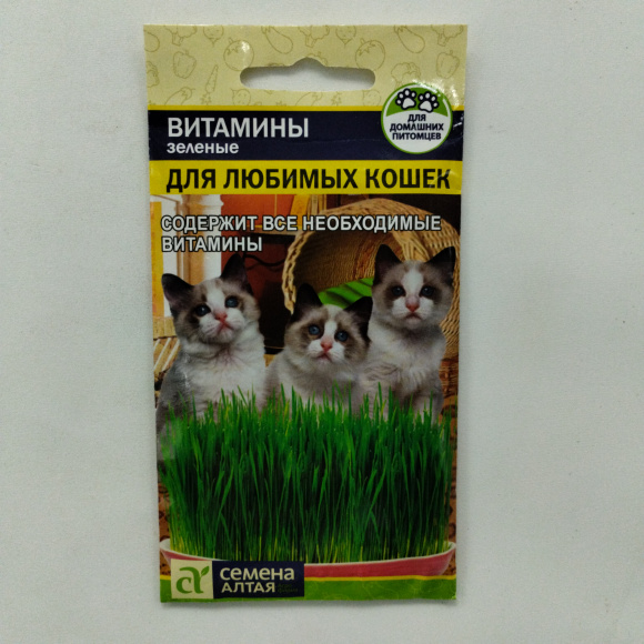 Зеленые Витамины для любимых Кошек [Семена алтая] купить с доставкой
