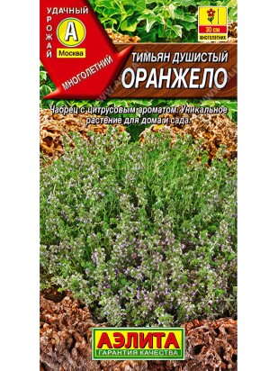 Тимьян Оранжело [Аэлита]