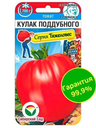 Томат Кулак Поддубного [Сибирский сад]