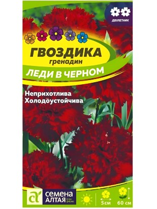 Гвоздика гренадин Леди в черном [Семена Алтая]