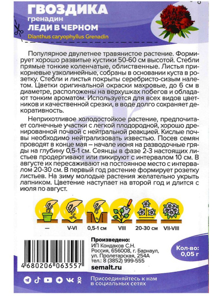 Гвоздика гренадин Леди в черном [Семена Алтая] купить с доставкой