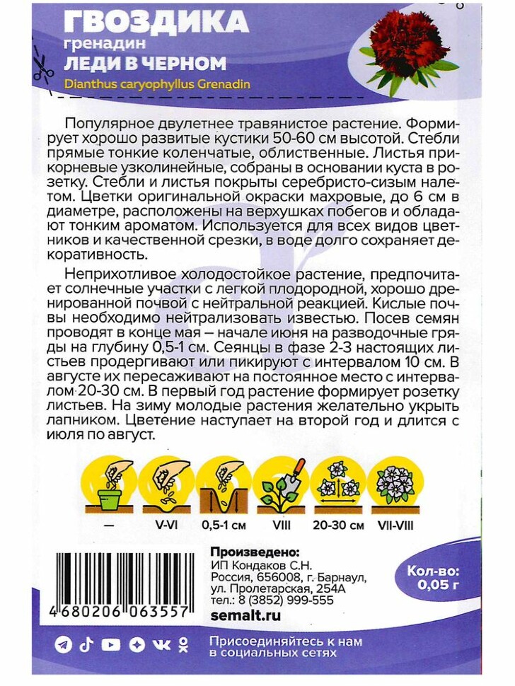Гвоздика гренадин Леди в черном [Семена Алтая] купить с доставкой