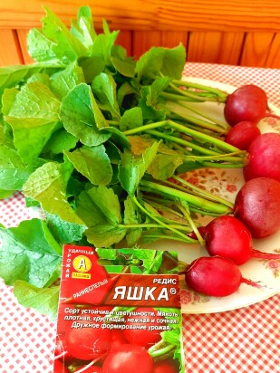 Редис Яшка [Аэлита]